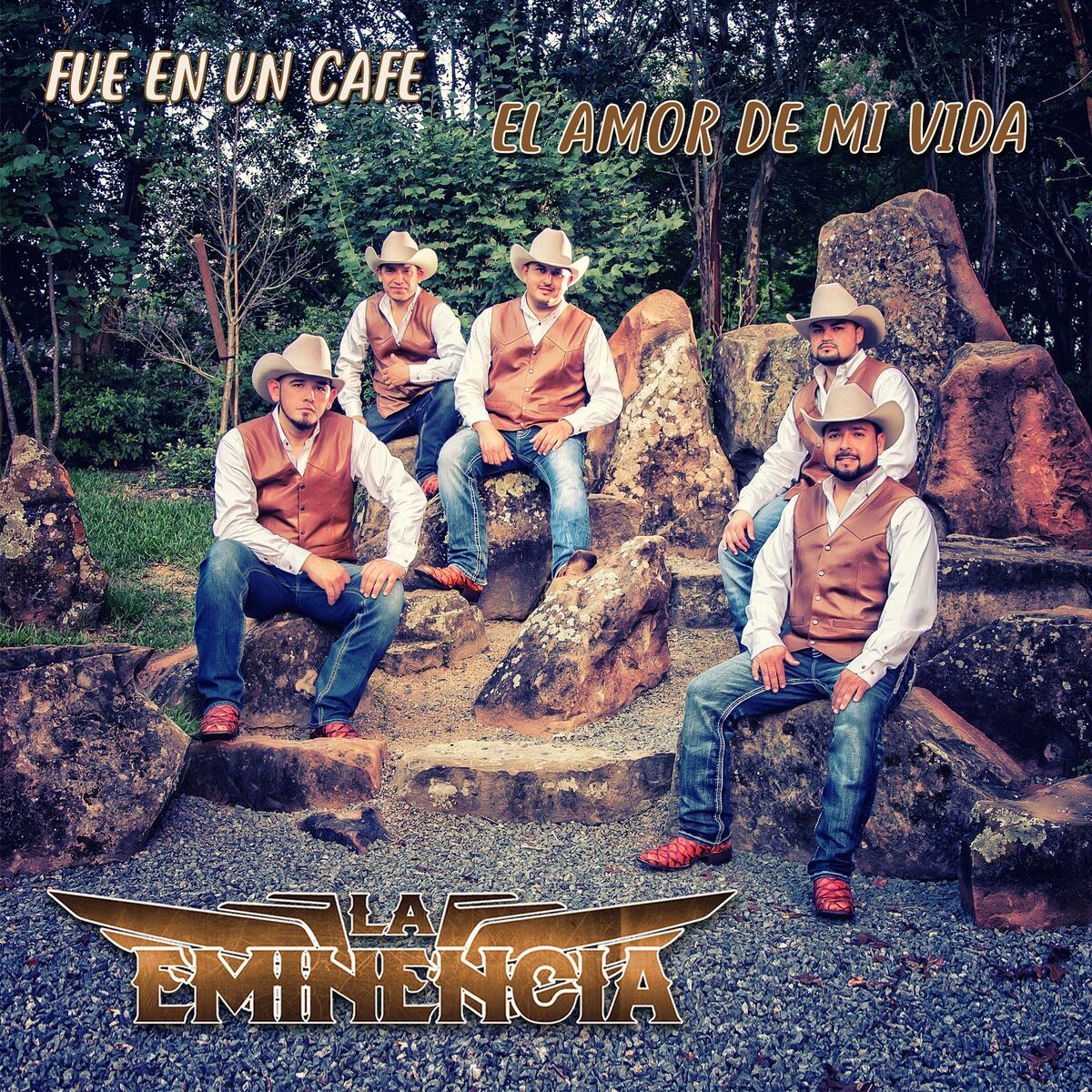 Album cover of Fue en un Cafe el Amor de Mi Vida