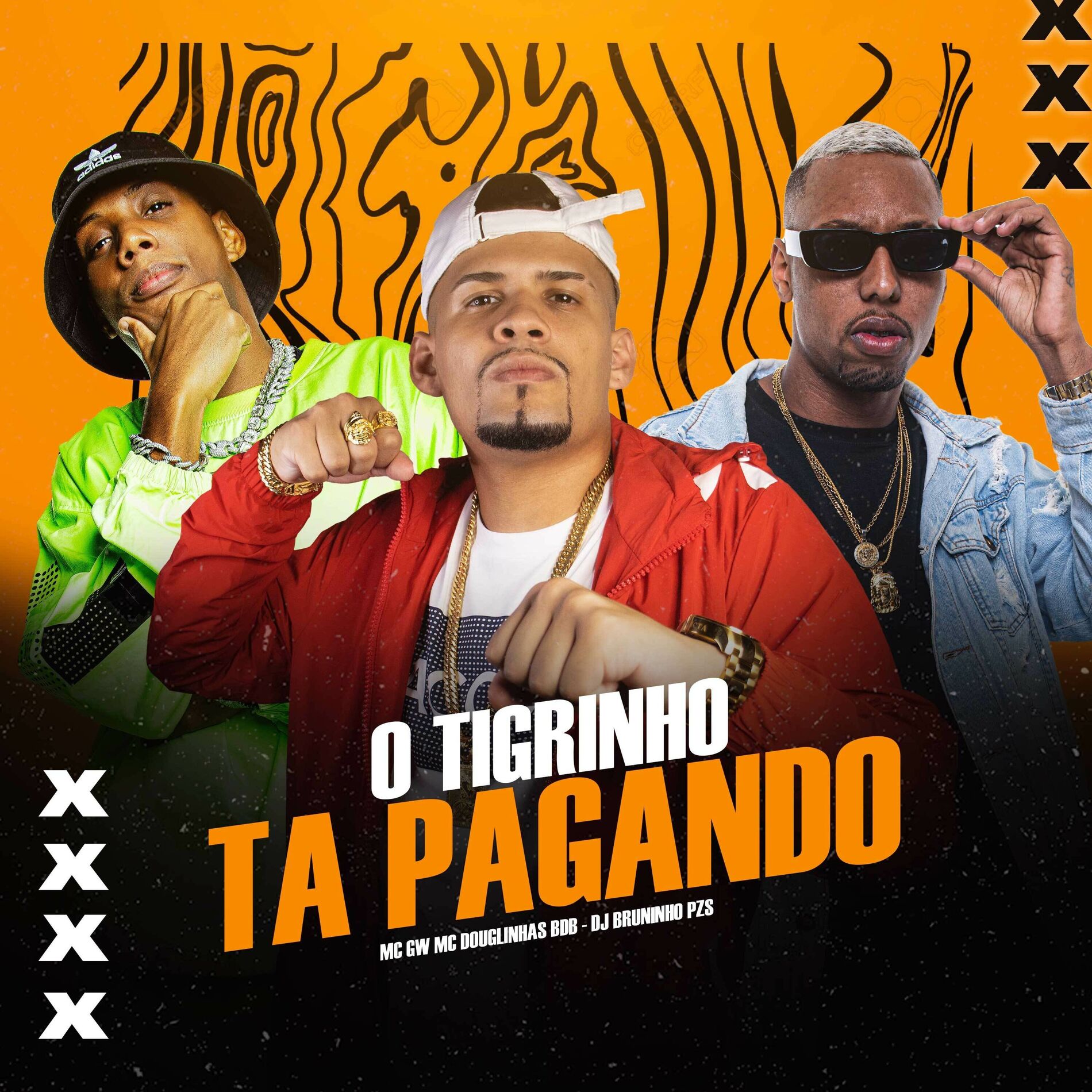 Album cover of O TIGRINHO TA PAGANDO