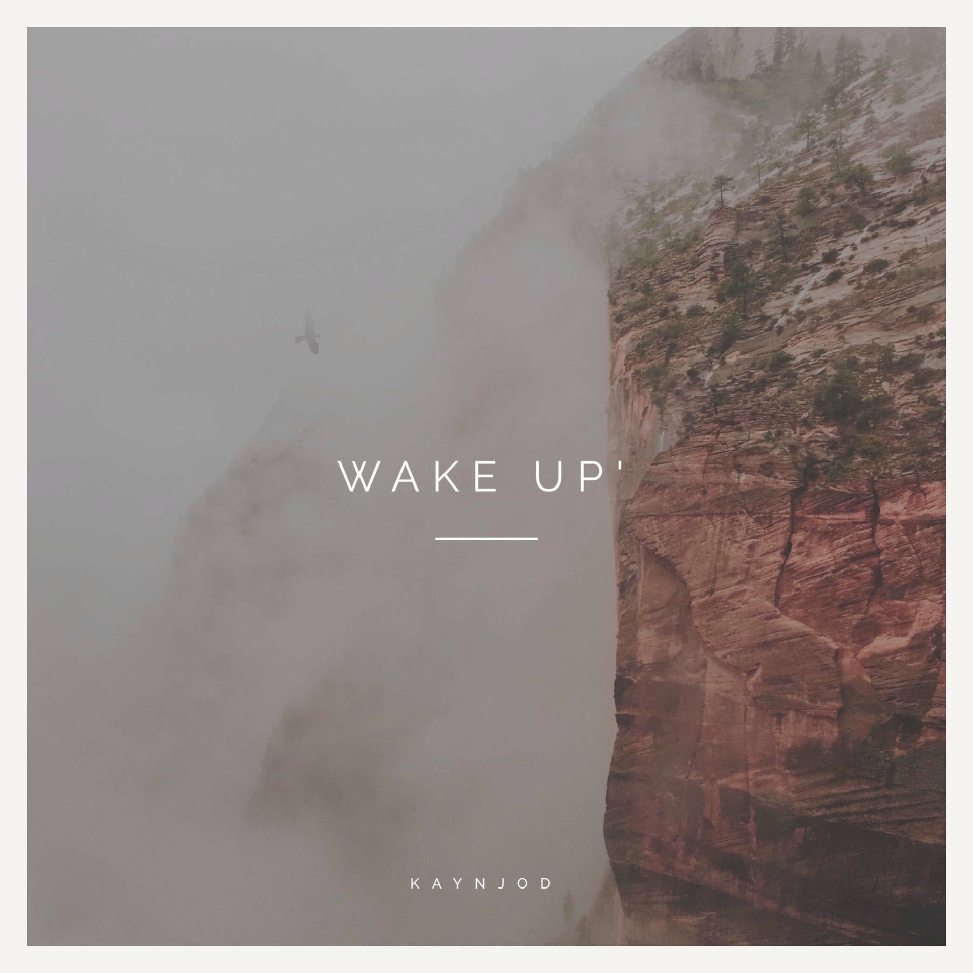 Album cover of Wake Up'