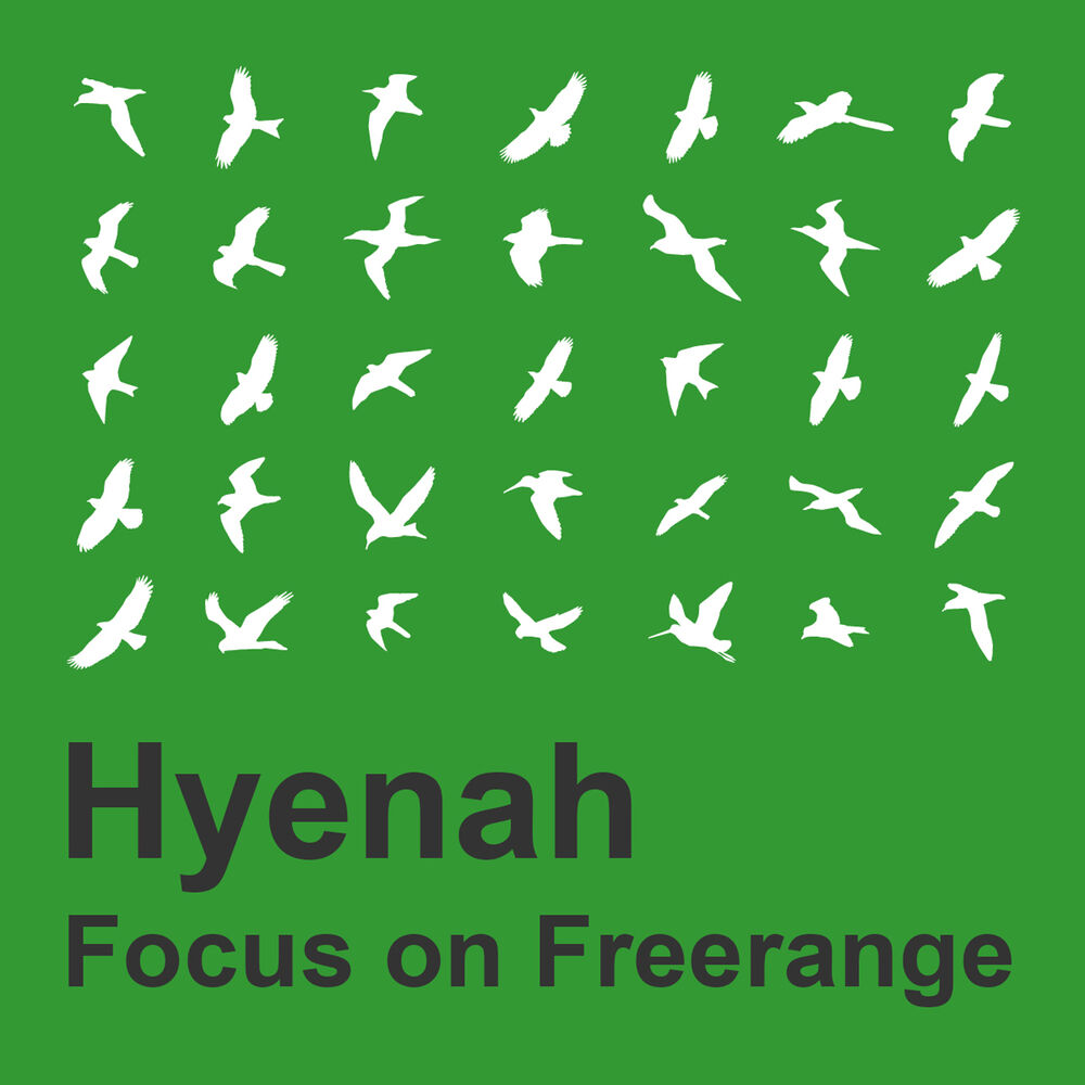 Picture of Focus on Freerange: Hyenah