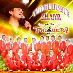 Cover of En Vivo Mazatlán 2003