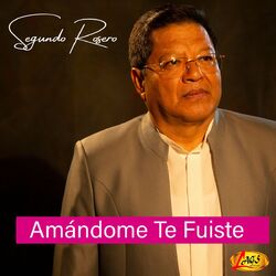 Cover of Amándome Te Fuiste