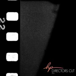 Cover of Director's Cut, Vol. 1