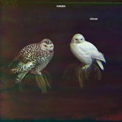 Descargar Peri Banu vid sjön - Dungen MP3