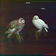 Peri Banu vid sjön by Dungen album cover