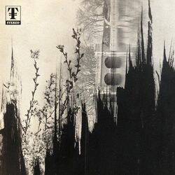 Cover of Estacionario