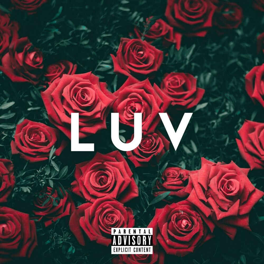 Picture of LUV