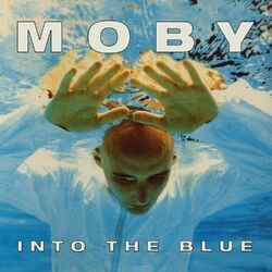 Cover of Into The Blue