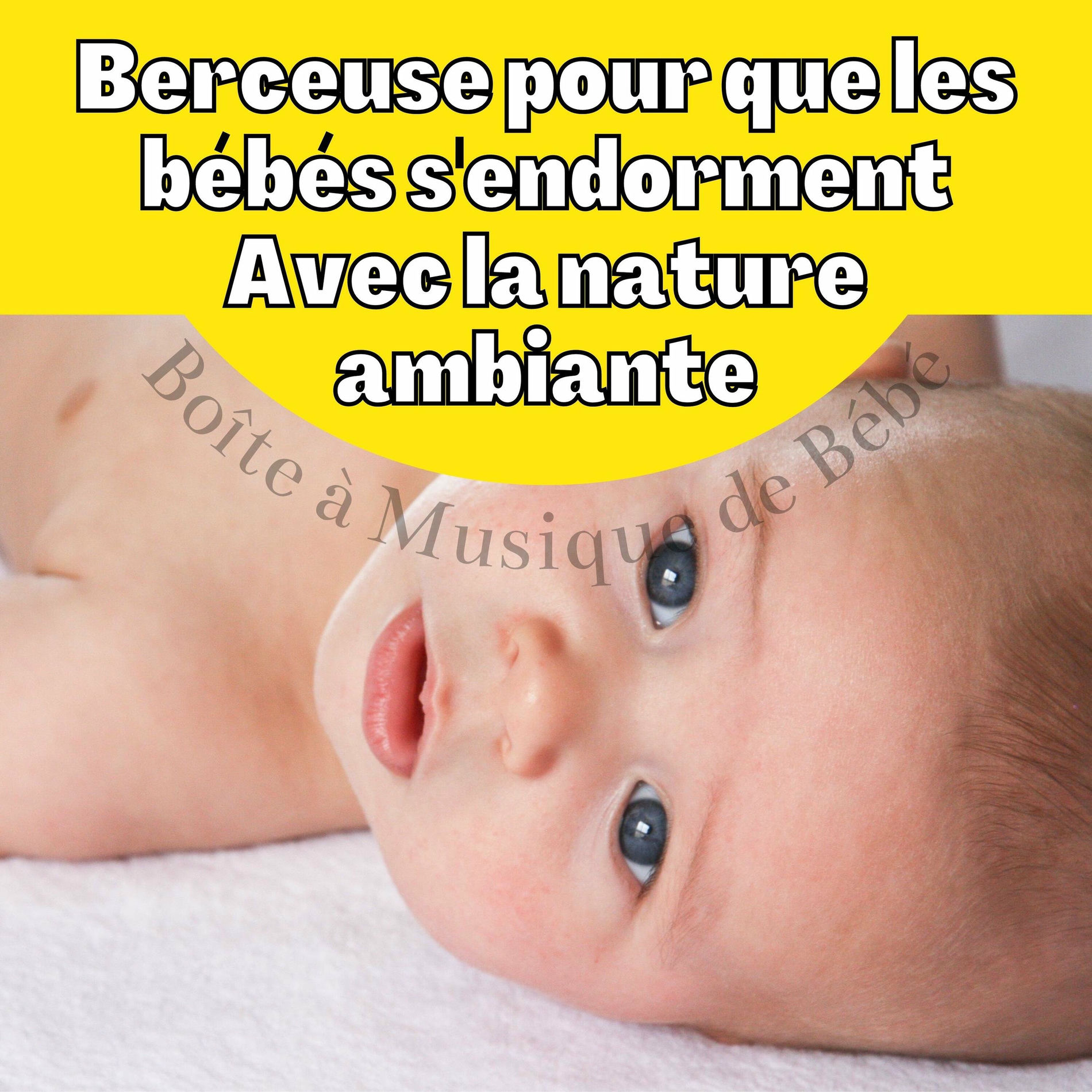 Album cover of Berceuse pour que les bébés s'endorment (Avec la nature ambiante)