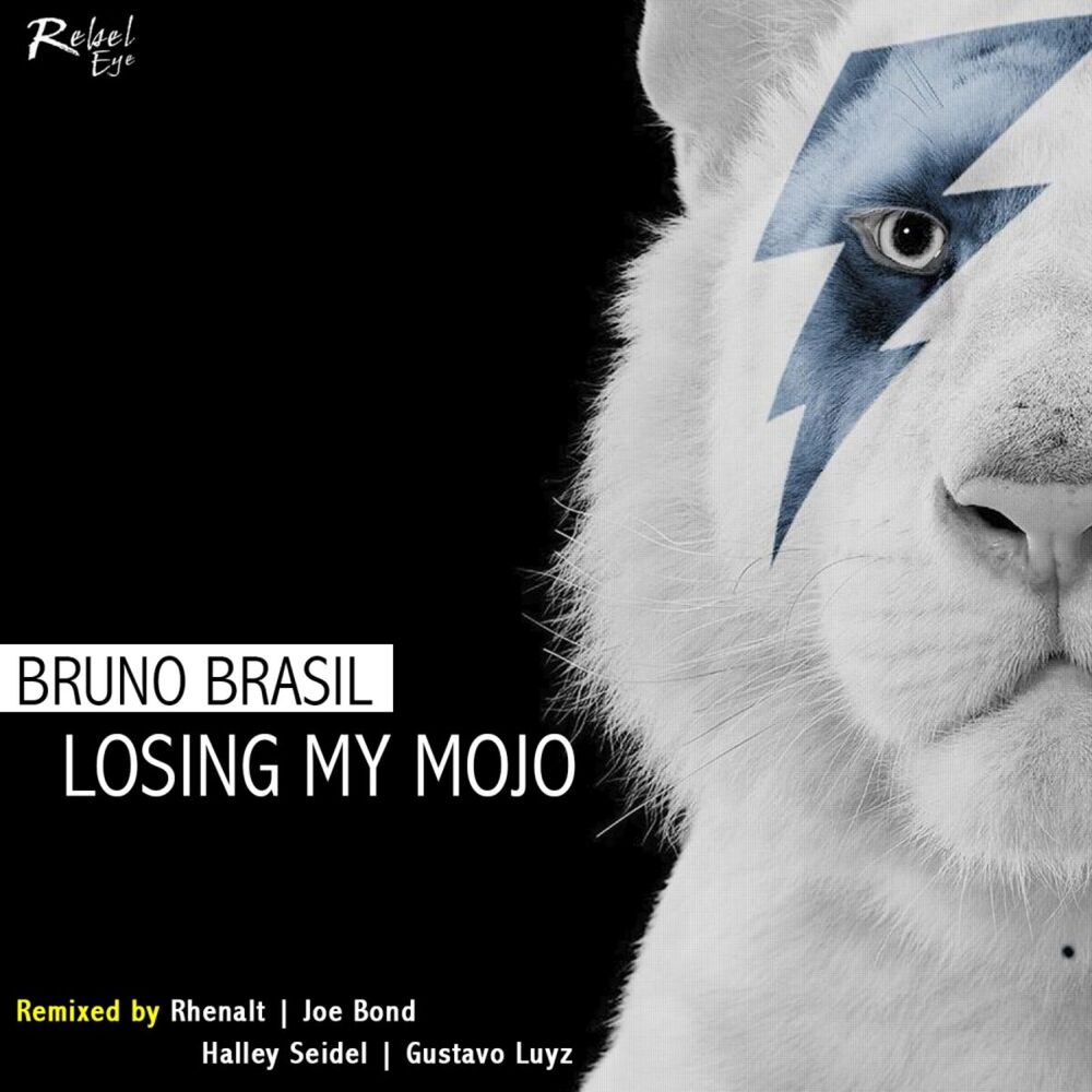 Picture of Losing My Mojo