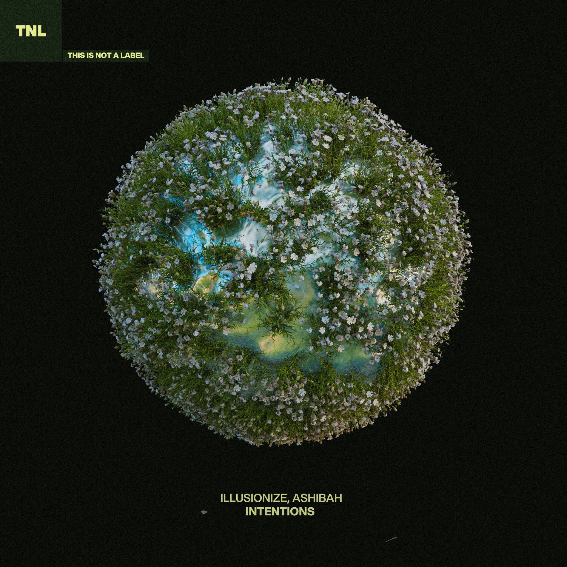 Album cover of Intentions