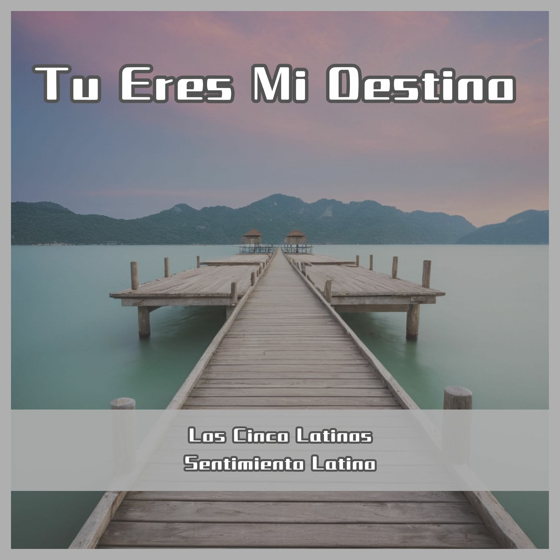 Album cover of Tu Eres Mi Destino (Remastered)