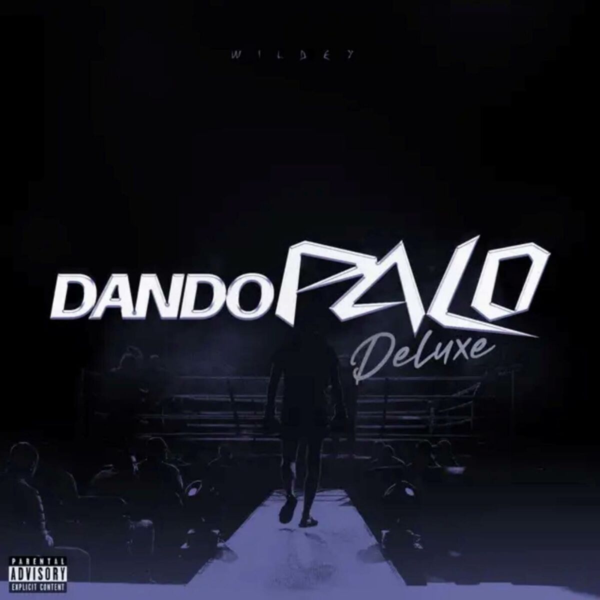 Album cover of DANDO PALO (Deluxe)