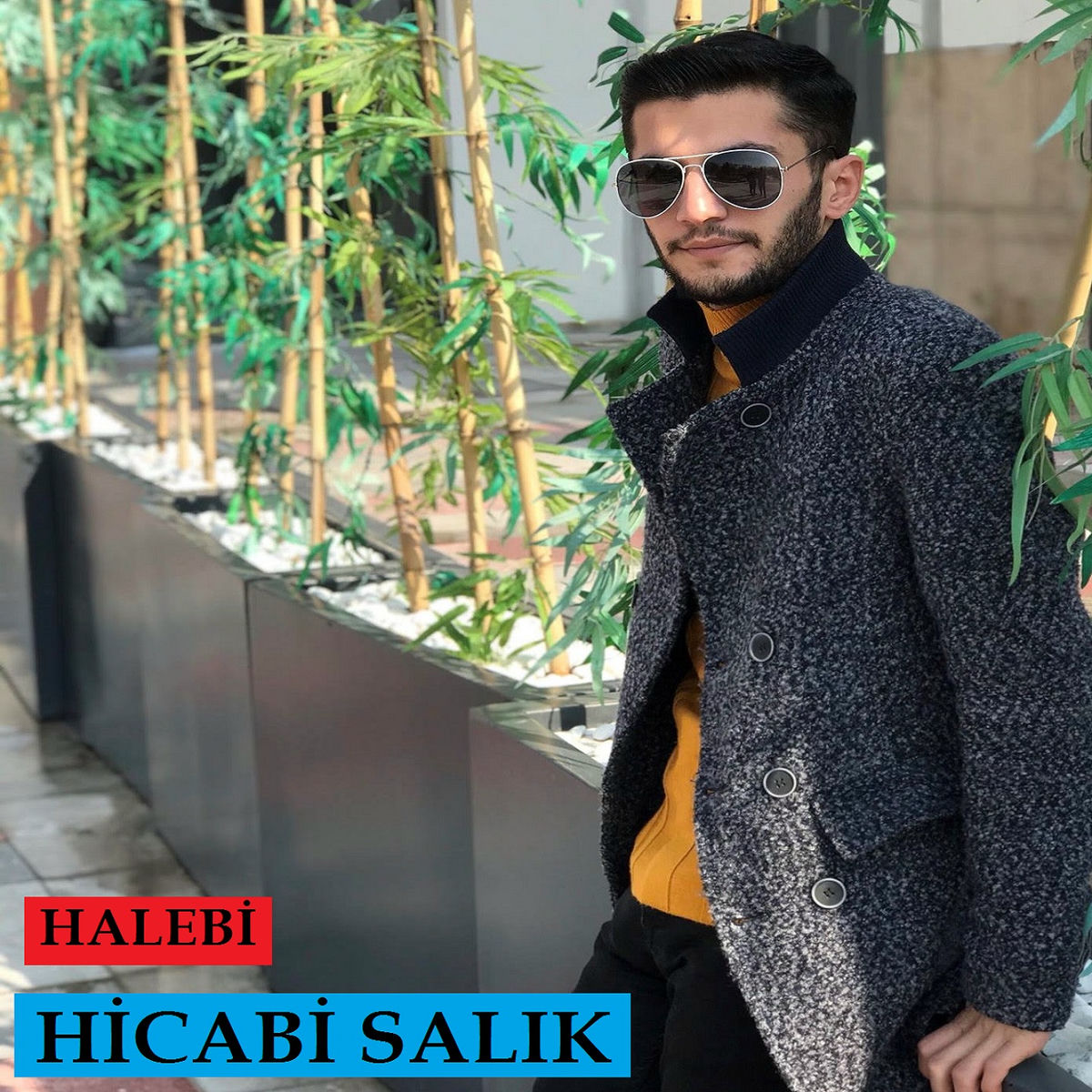 Album cover of Halebi