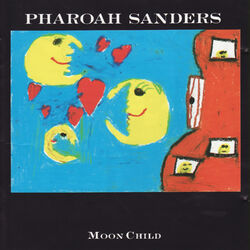 Cover of Moon Child