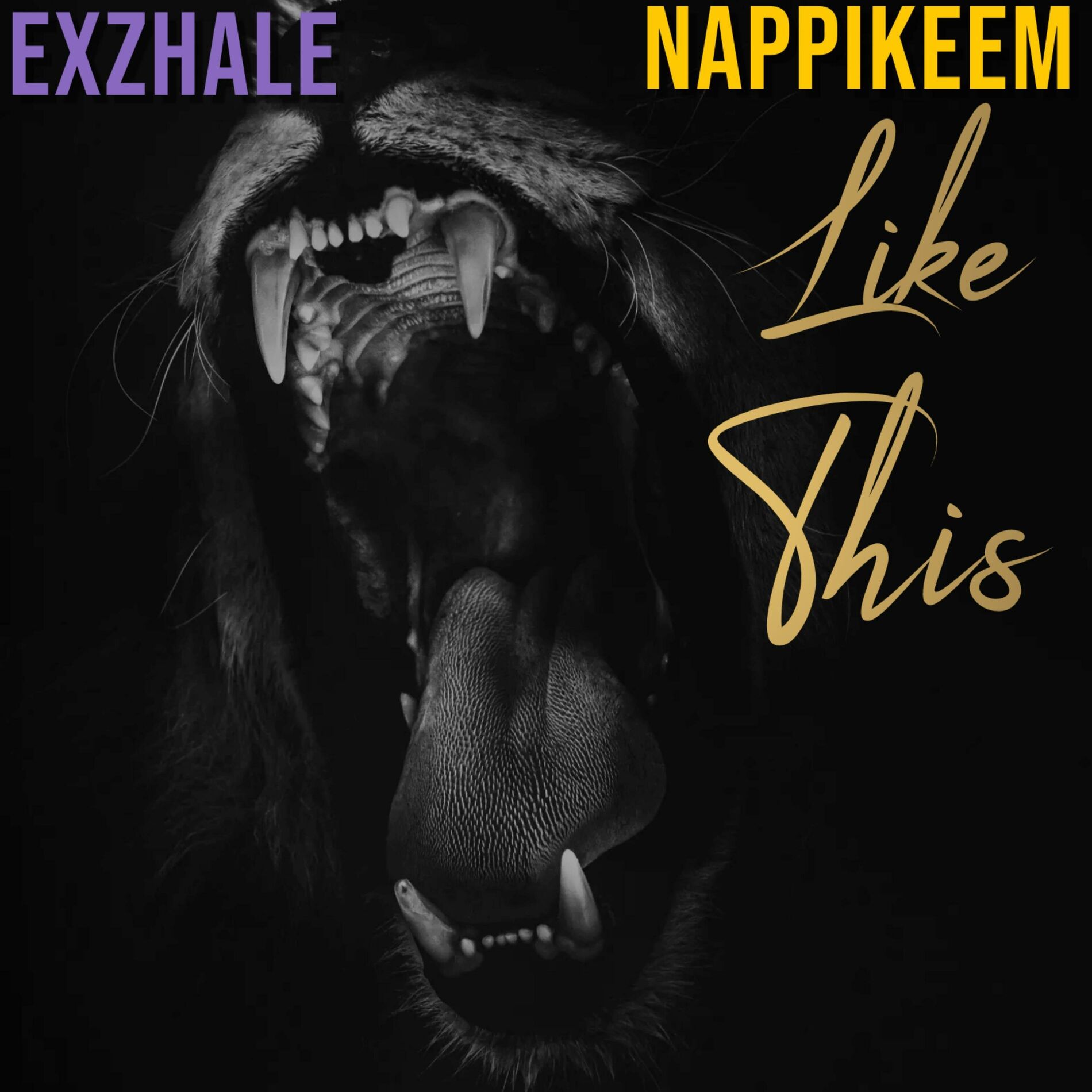 Album cover of Like This