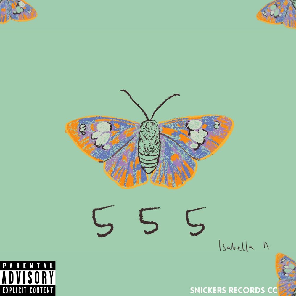 Picture of ARCHIVOS 555