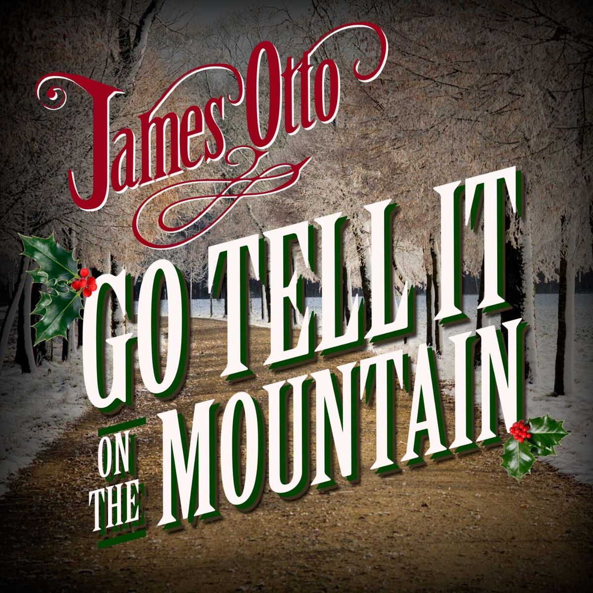 Album cover of Go Tell It on the Mountain