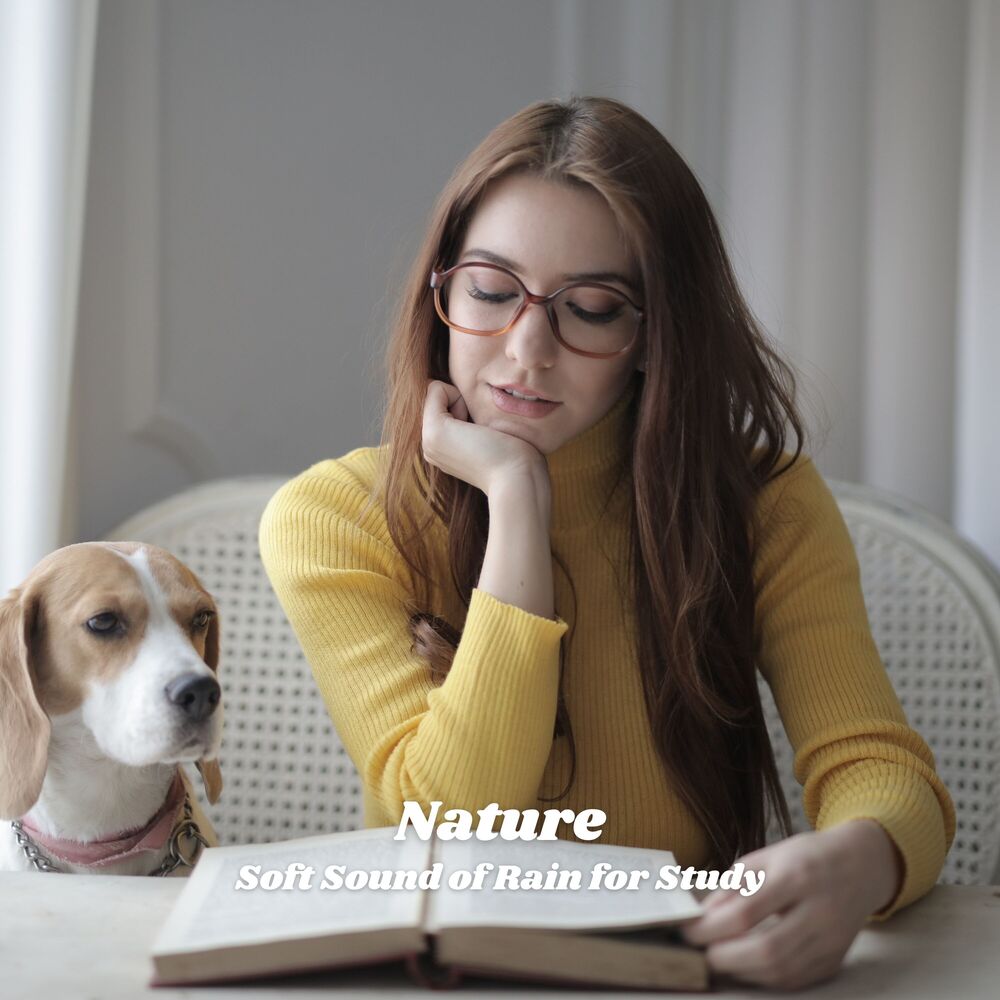 Picture of Nature: Soft Sound of Rain for Study