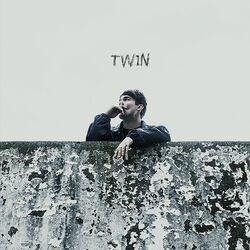Cover of Twin