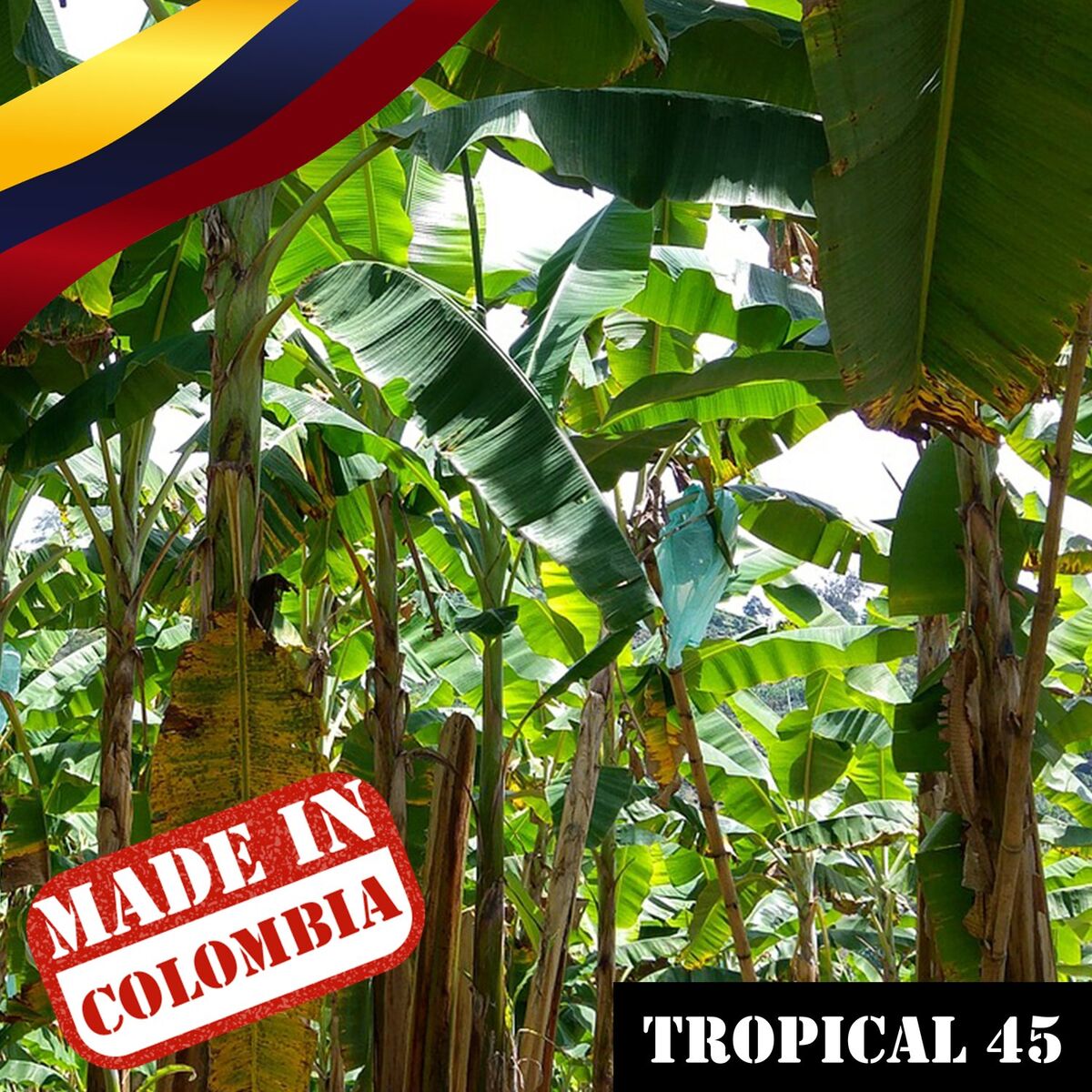 Album cover of Made In Colombia: Tropical, Vol. 45