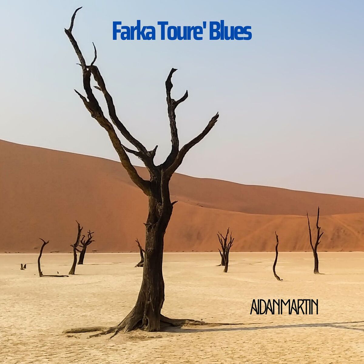 Album cover of Farka Toure' blues