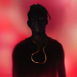 Cover of Beauty in Chaos