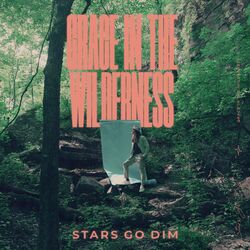 Cover of Grace In The Wilderness