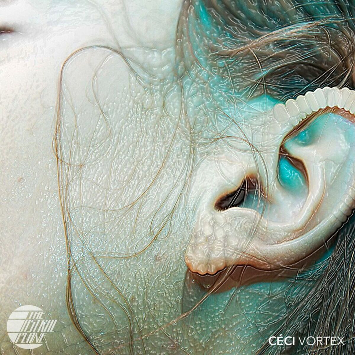 Album cover of Vortex