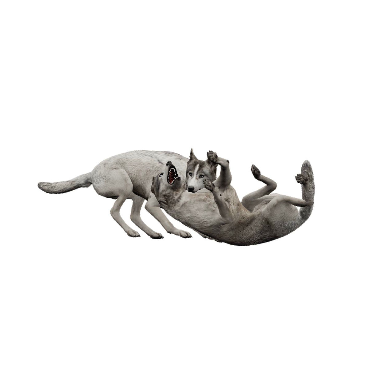 Album cover of Fangs Out