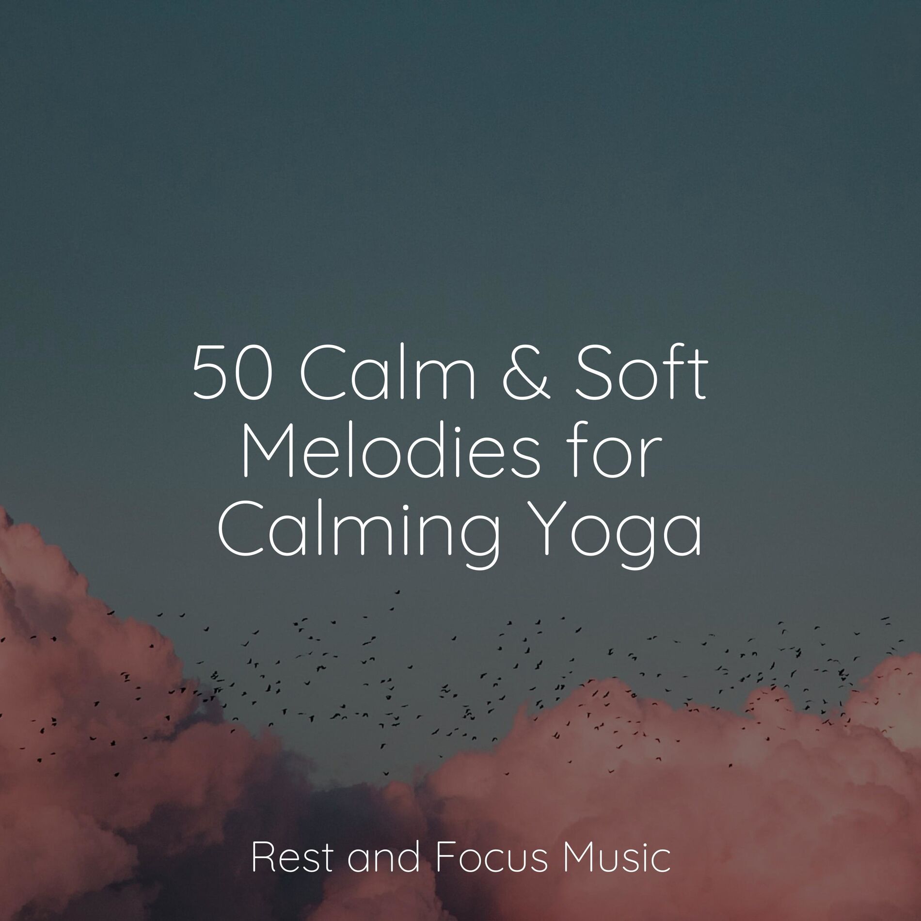 Album cover of 50 Calm & Soft Melodies for Calming Yoga