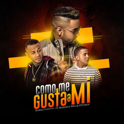 Cover of Como Me Gusta a Mi