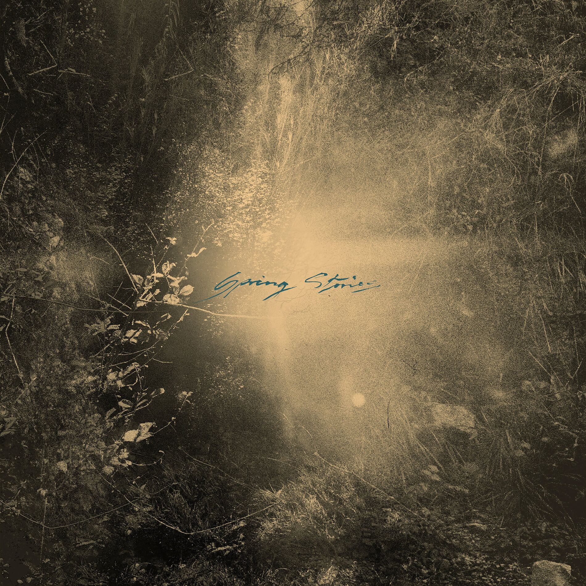 Album cover of Spring Stories