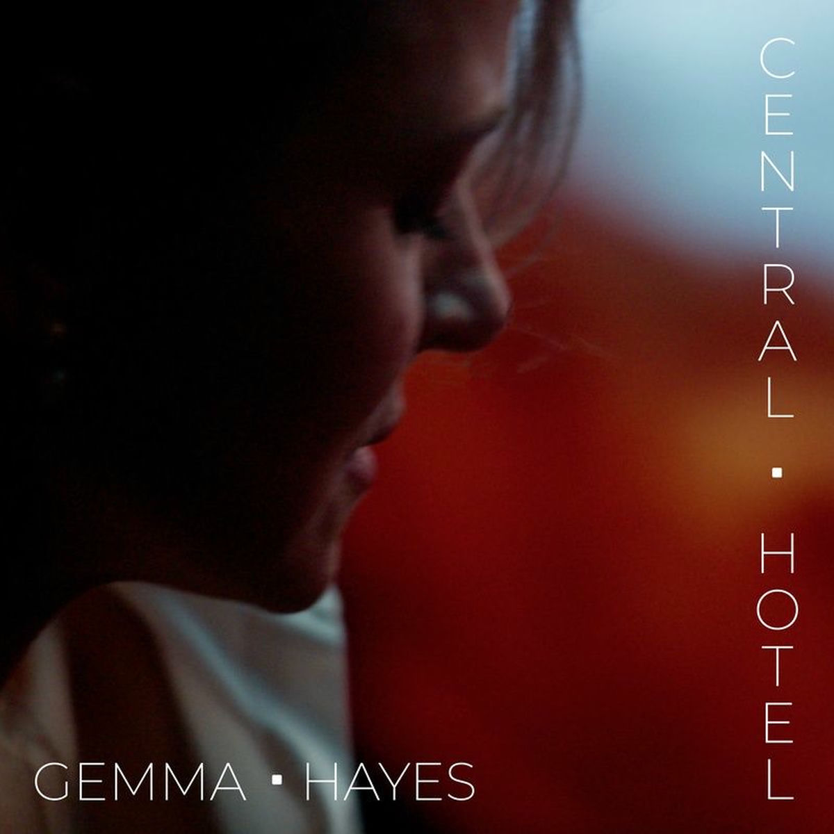 Album cover of CENTRAL HOTEL (The Marius de Vries Ghost In the Sky Mix)
