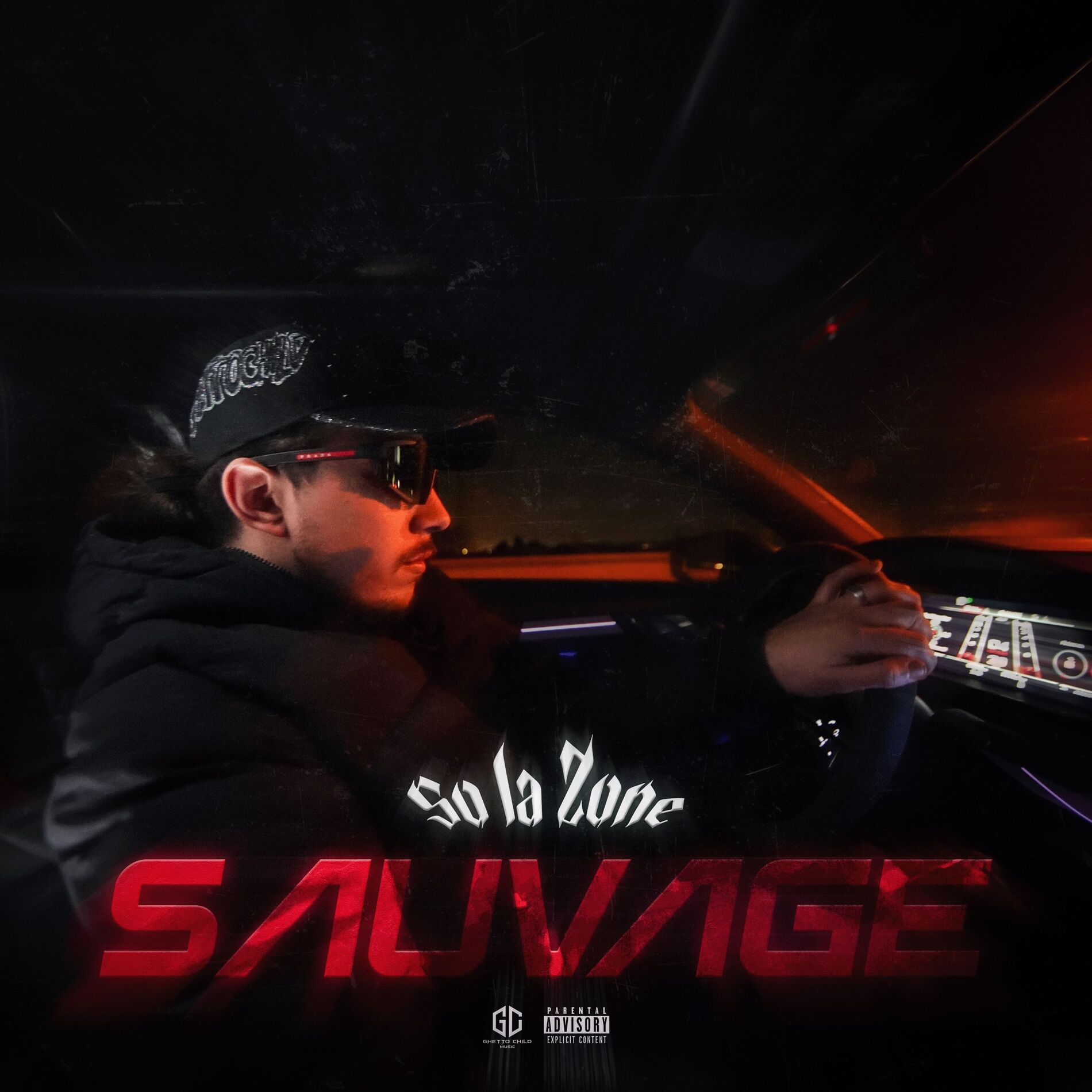 Album cover of Sauvage