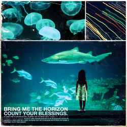 Cover of Count Your Blessings