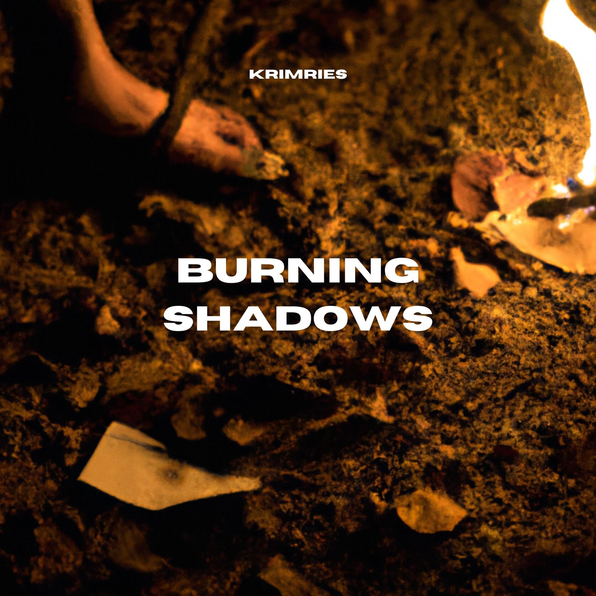 Album cover of Burning Shadows