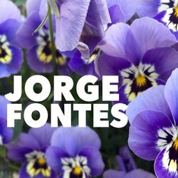Cover of Jorge Fontes