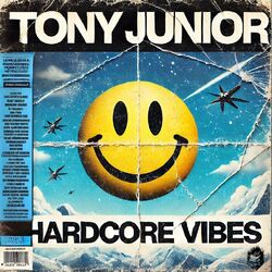 Cover of Hardcore Vibes