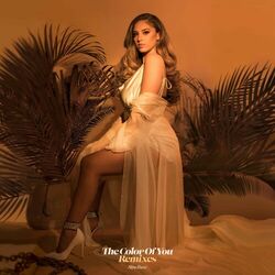 Cover of The Color Of You (Remixes)