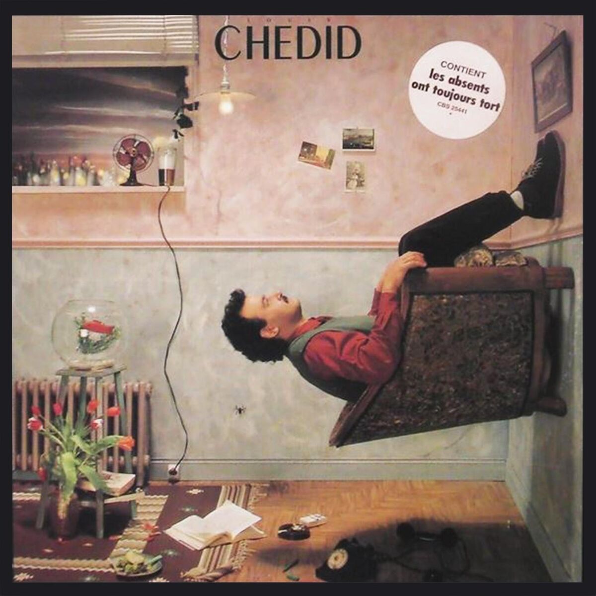 Album cover of Panique organisée