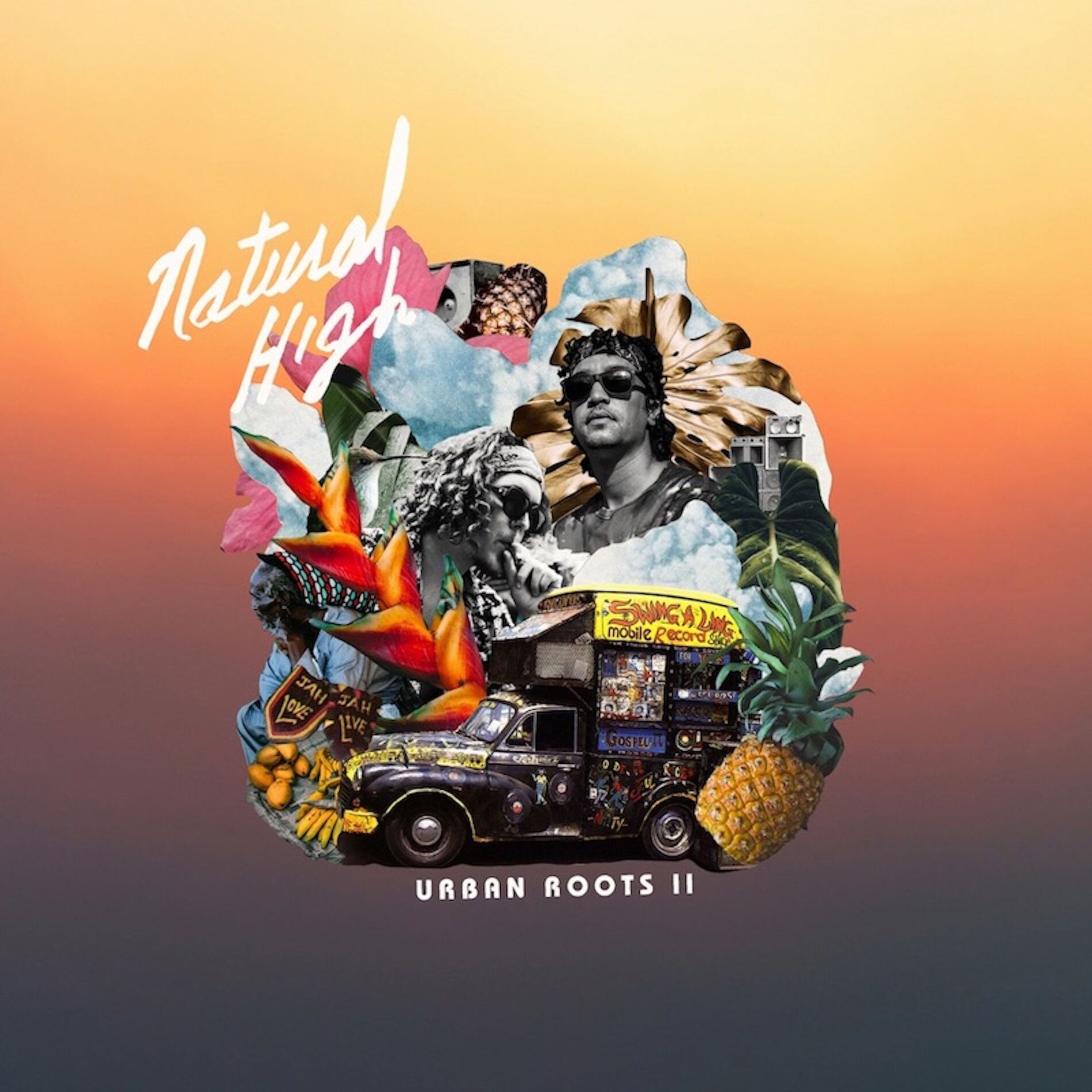 Album cover of Urban Roots II