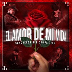 Cover of El Amor De Mi Vida