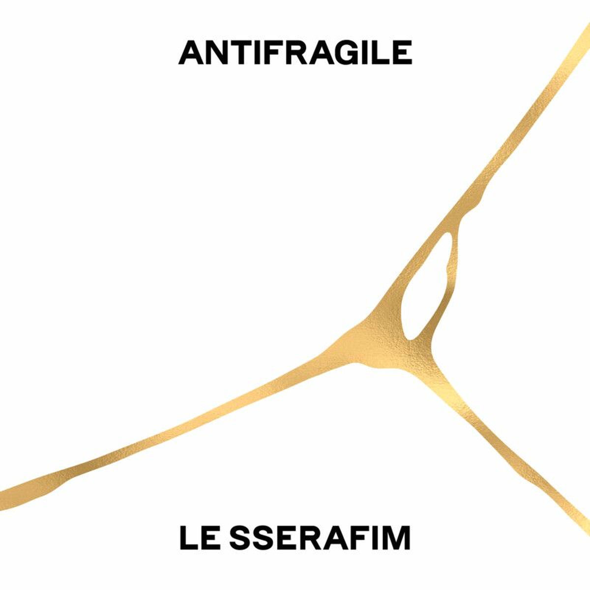 Album cover of ANTIFRAGILE
