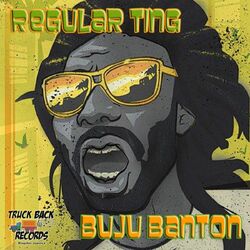 Cover of Regular Ting