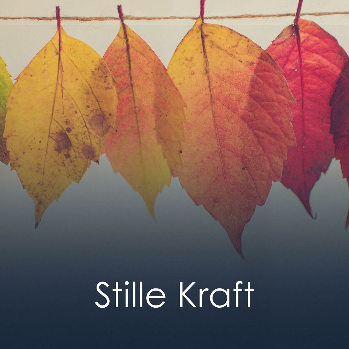 Album cover of Stille Kraft