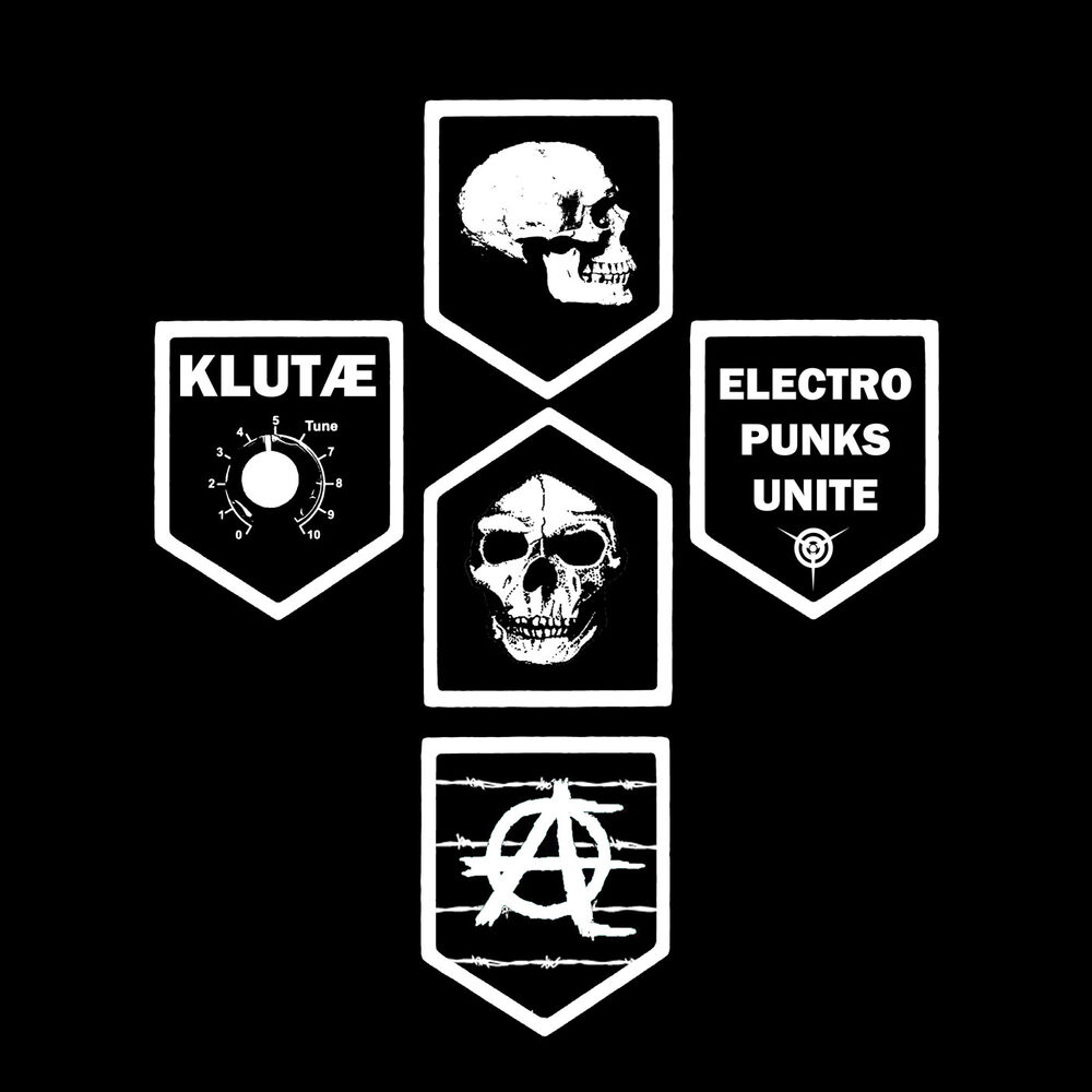 Picture of Electro Punks Unite