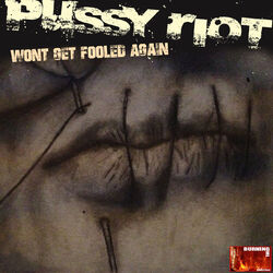 Cover of Wont Get Fooled Again