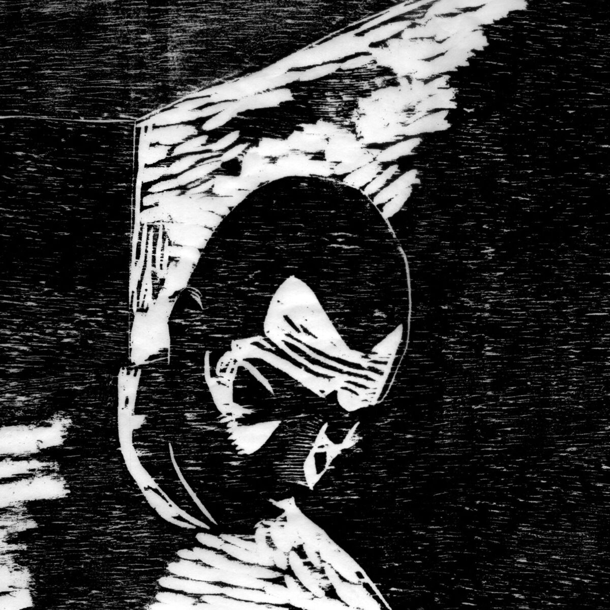 Album cover of Passo Elétrico