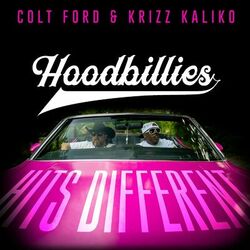 Cover of Hits Different